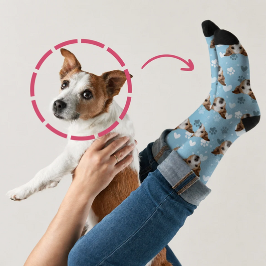 Personalized socks with blue dog pattern and black toes, worn by a person with a dog.