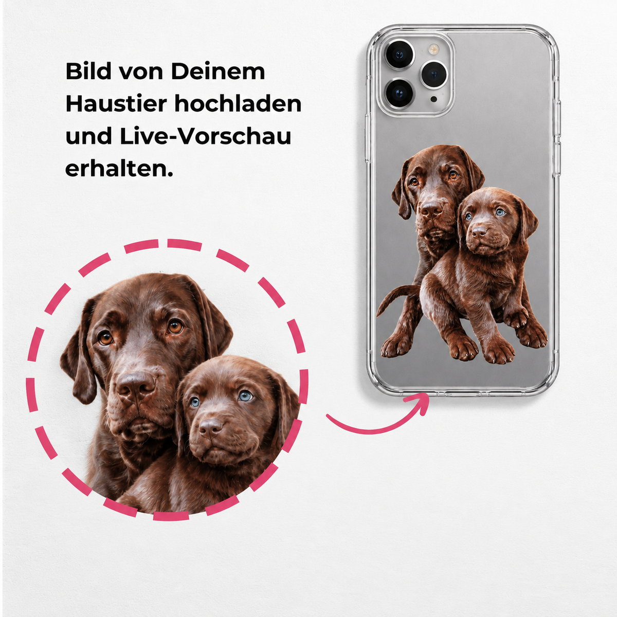 Clear phone case showing two brown Labrador puppies.