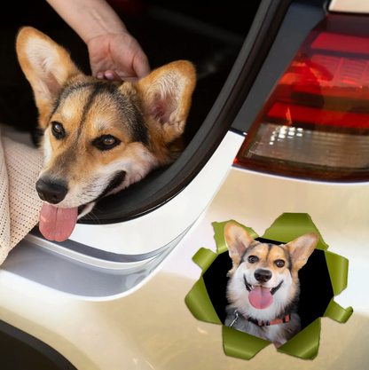 Personalized car sticker with dog motif, showing a smiling corgi in a sticker opening.