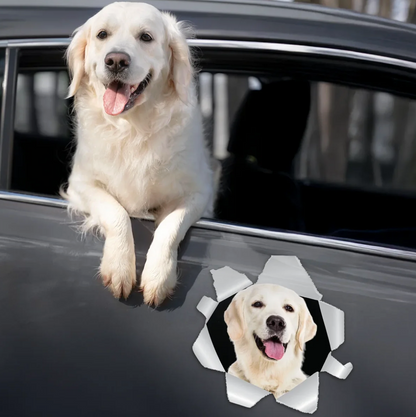 Car sticker with a Labrador looking out of a window. Grey with realistic image.