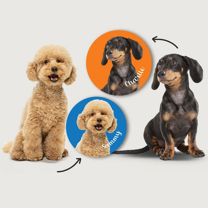 Dogs in different colours and poses, surrounded by round stickers with names on a colourful background.