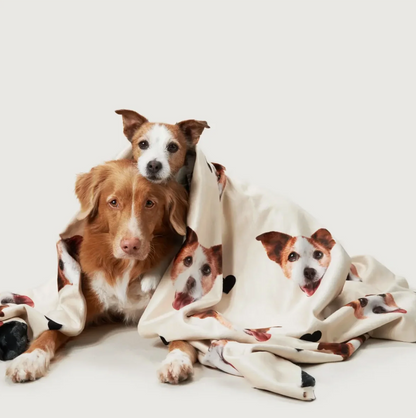 Personalized beige blanket with pet head motifs, wrapped around two dogs.