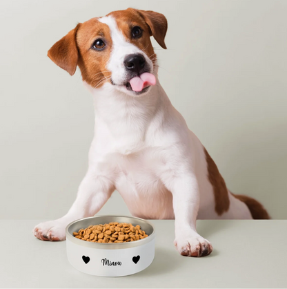 Ceramic dog food bowl labeled "Minou" with dry food. A dog sits in front licking its snout.