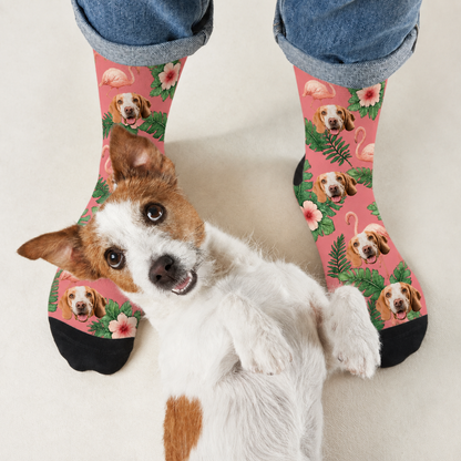 Personalized socks with dog designs and flamingos on a pink background, trimmed in black.