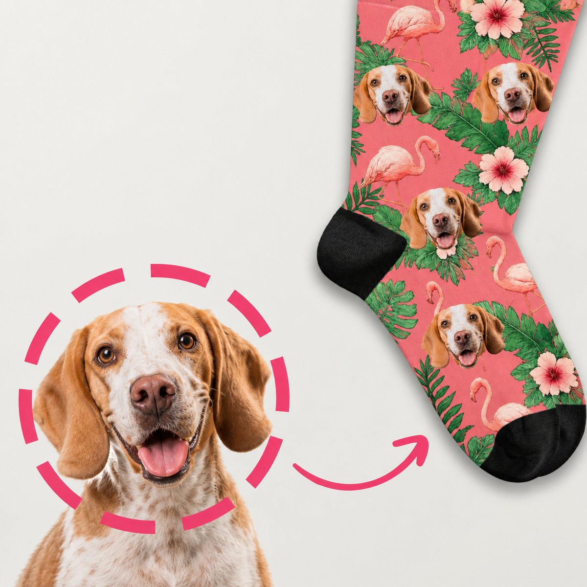 Personalized socks with colourful bird-of-paradise pattern and dogs. Colourful floral motifs on a pink background.