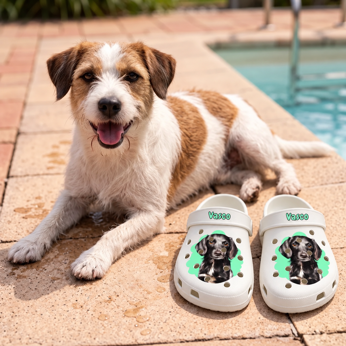 Personalized white clogs with dog pet portrait and green accents, on a stone floor next to a dog.