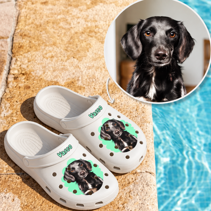 White clogs with a dog portrait and the name "Vasco" on a green background graphic.