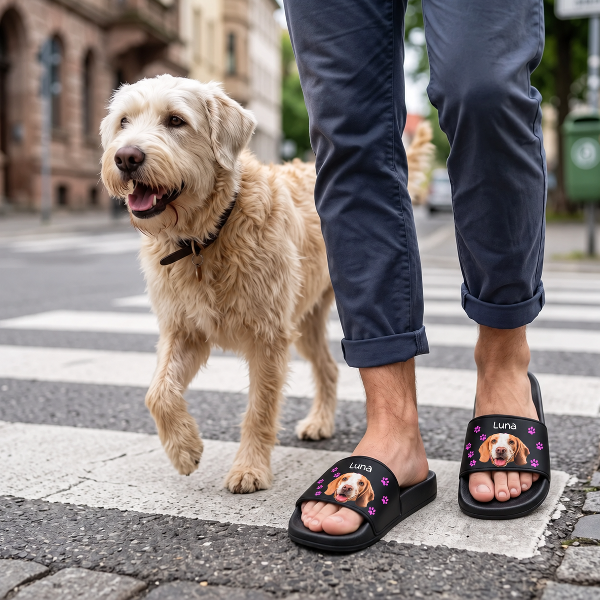 Personalized black slides with a dog photo print and name. Person walking a dog across the street.
